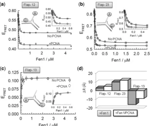 Figure 4. DNA distortion by Fen1 in the absence (squares) and presence (circles) of PCNA at 10 mM Cathe relative changes in inter-dye distances (Amolecular FRET was used to monitor the interaction between Fen1 and different ﬂap substrates (represent the ﬁt