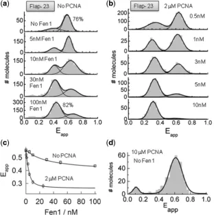 Figure 5. Opening of the ﬂap substrate by Fen1 and Fen1/PCNA complexes studied using sm-FRET