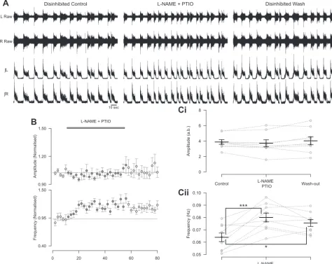 Fig. 5. During the blockade of inhibitory neurotransmission the removal of endogenous NO leads to an increase in the frequency, but no change in the amplitude,of locomotor-related activity.and an increase in frequency ( A: raw (top) and rectiﬁed/integrated