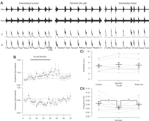 Fig. 6. The NO donor DEA/NO can modulate both the amplitude and frequency of rhythmic activity during blockade of inhibitory neurotransmission
