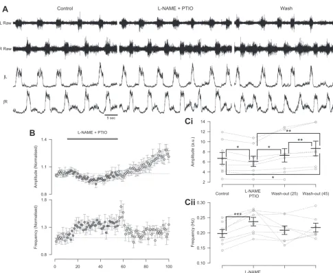 Fig. 2. Removal of endogenous NO leads to a decrease in the amplitude and increase in the frequency of the locomotor-related activity