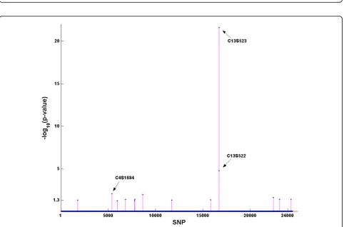 Figure 1 Single-SNP association analysis from PLINK. x-axis: All SNPs on chromosomes 1–22 are numbered from 1 to 24,487