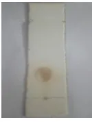 Figure 1. Antibacterail activities 