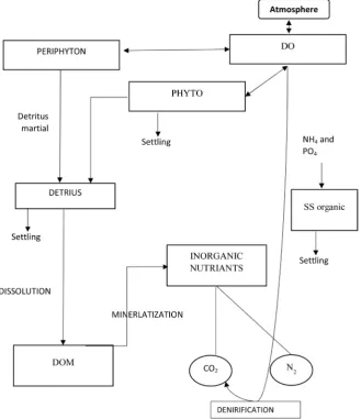 Figure 4. State variable interactions in advanced eutrophication submodel in WASP7 matter, SS is inorganic suspended solids) oxygen ON is organic nitrogen, OP is organic phosphorous, DOM is dissolved organic tho-phosphorus, CBOD is carbonaceous biochemical