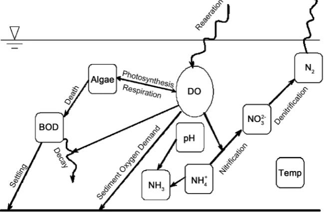 Figure 5. Interacting water quality state variables in QUASAR model [4] [45]. 