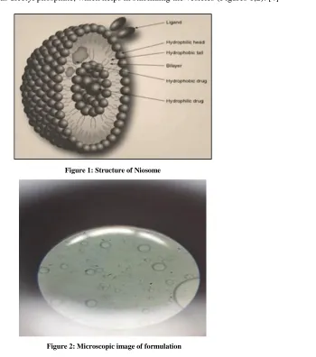 Figure 1: Structure of Niosome 