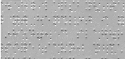 Fig. 2. An example of a scanned double-sided Braille document. 