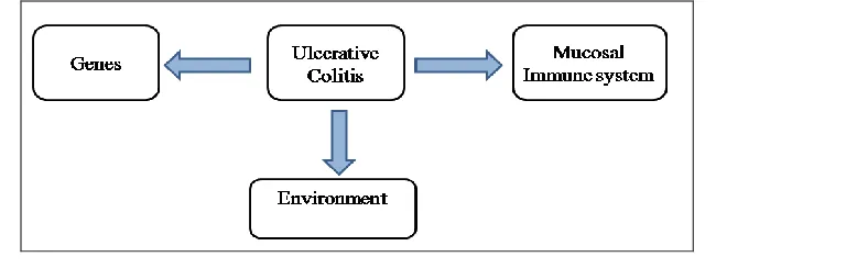 Figure 1: Schematic flow chart for ulcerative colitis 
