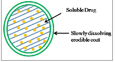 Figure 10: Diffusion type of matrix system 
