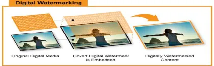 Figure 1. Digital Watermarking 