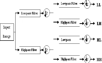 Fig 1. Block diagram of DWT Filter Banks of level 1 [8] 
