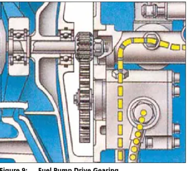 Figure 10: Fuel Pump Assembly