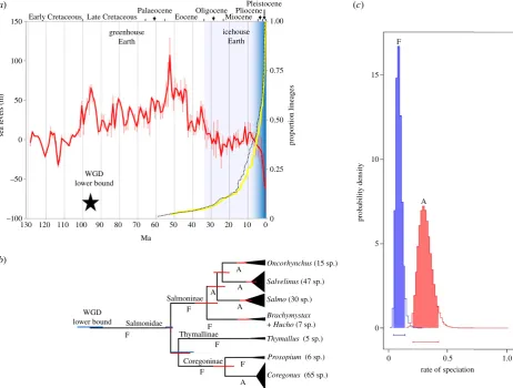 Figure 3. Temporal decoupling of WGD from salmonid species diversification is correlated with historic climate change and the evolution of anadromy