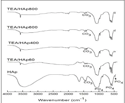 Figure 1: FTIR Spectra of unmodified and modified Hap by grafting of TEA 