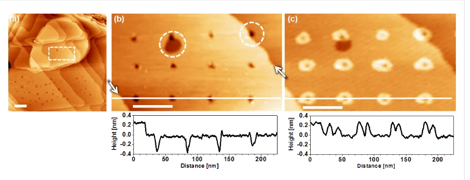 Figure 2: Cu-UPD on Au templated by a patterned BP2 SAM. a) Large scale STM image of the surface before deposition recorded in air