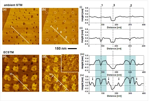 Figure 5: Sequence of STM images showing the UPD-based conversion of a BP2 SAM into a patterned binary SAM of BP2 and AdSH