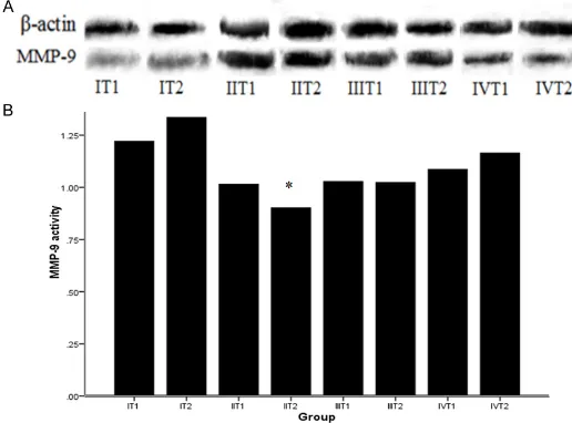 Figure 4. The activity of MMP-9 in BALF by Western-blot analysis. A. Picture of activity of MMP-9 by Western-blot; B