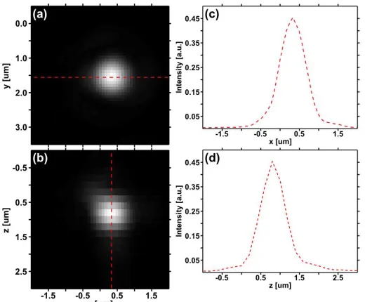 Figure 2. x-y (a) and x-z (b) sections of an LST image of a 600nm polymer microsphere located near the beam waist  ([x,y,z]=[0,0,0]) of a Gaussian light sheet