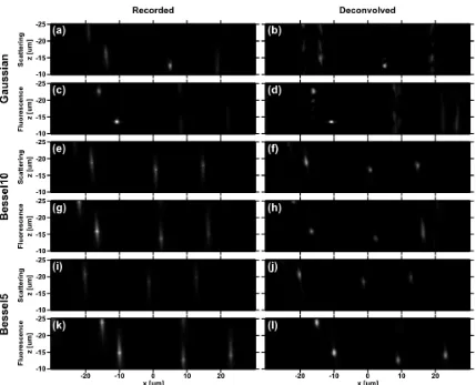 Figure 3. Experimental data showing y-axis maximum intensity projections for both scattering and fluorescence measurements for various light sheet types of the same sample of 600nm red fluorescent polymer microspheres