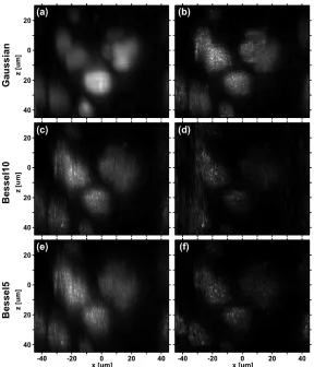 Figure 4. Experimental data showing y-axis maximum intensity projections for scattering measurements for various light sheet  types of the same sample of MCF-10A cell suspension