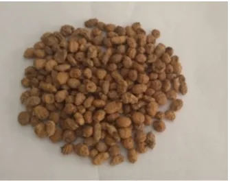 Figure 1. Dry tiger nut. 