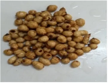 Figure 2. Tiger nut tuber after 12 hour soaking. 