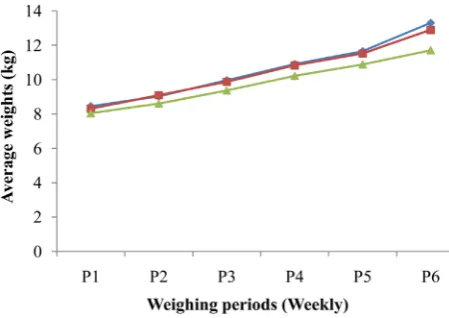 Figure 1. Weight evolution of piglets according to the ration. 