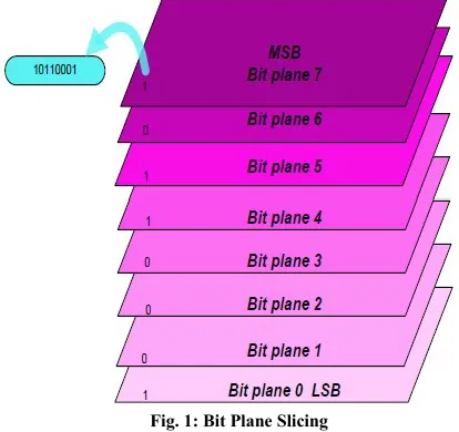 Fig. 2 shows the bit plane images for bit 0 (LSB) to bit 7 
