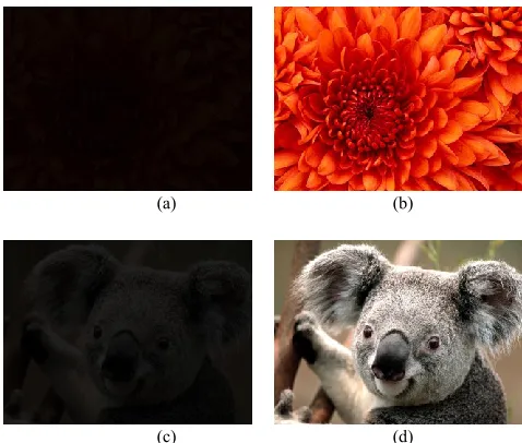 Fig. 4 shows some retrieved images from the compressed 