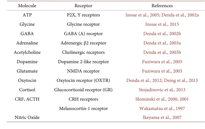 Table 2. Neurotransmitters, neuropeptides, and hormones generated by keratinocytes, and receptors functionally expressed in keratinocytes