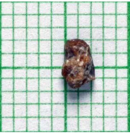 Figure 3. Stone-3. 