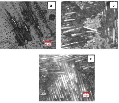 Figure 6 shows the SEM photomicrographs of worn surface of 3wt % SiO2 particulate filled GE composite