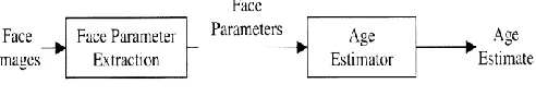 Fig. 1  Block diagram of age estimation approach 