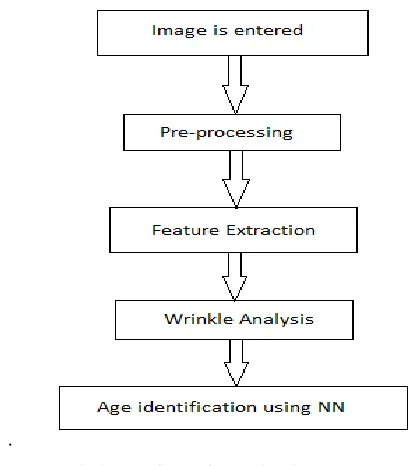 Fig. 2  Flow Chart of age estimation approach 