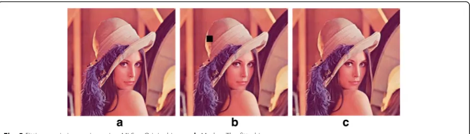 Fig. 5 Fitting a missing region using MLS. a Original image. b Mask. c The fitted image