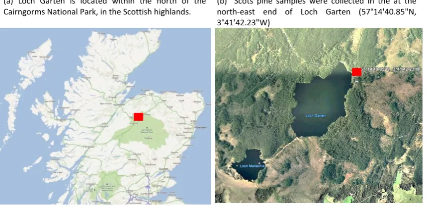 Figure 2-1:  Location where Scots Pine samples originated.  Approximate location is highlighted with red square.