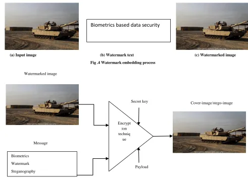 Fig .4 Watermark embedding process 