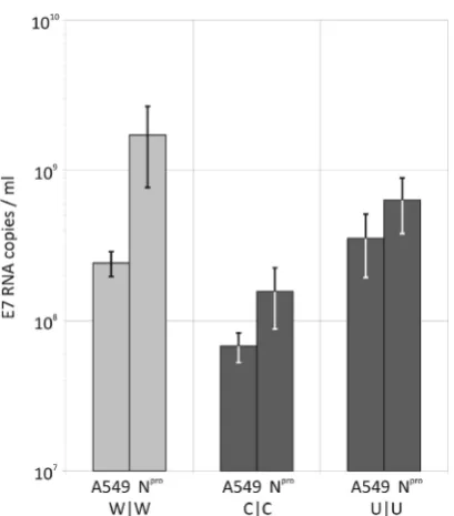 Figure 11. Replication of WT and dinucleotide-modiﬁed viruses in anpro 