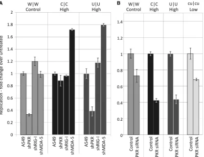 Figure 12. Effect of inhibiting PKR, RIG-I and MDA-5 expression on E7 replication. (high, UpA-high or CPg/UpA-low mutants at an MOI of 0.03