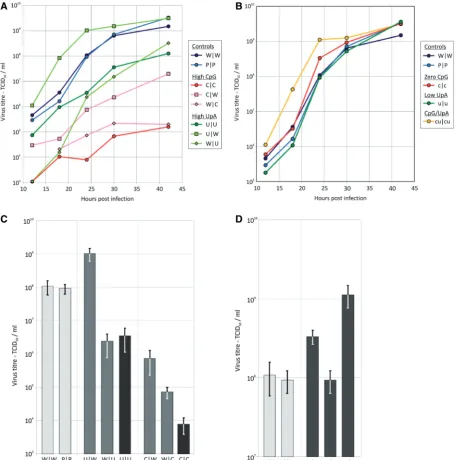 Figure 3. Replication kinetics and titres at 24 h of WT and modiﬁed viruses infected at a low MOI