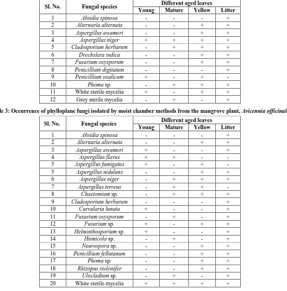 Table 3: Occurrence of phylloplane fungi isolated by moist chamber methods from the mangrove plant, Avicennia officinalis 