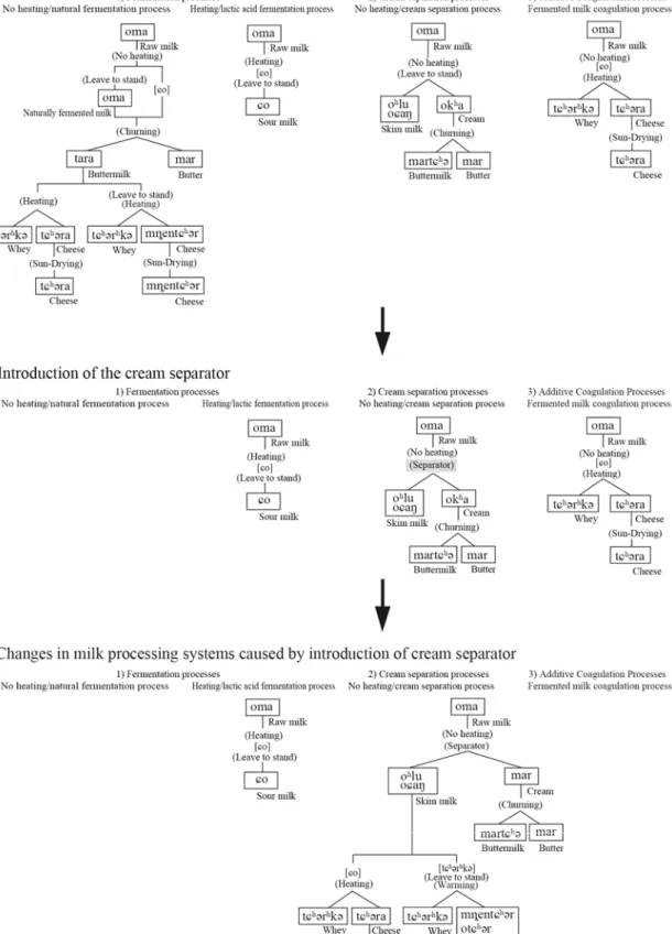 Fig. 8. Transition process in milk processing systems of Amdo Tibetan pastoralists. 