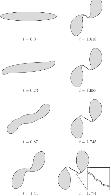 FIG. 1.Snapshots of the patch boundary at selected times priorpatch boundary and8to the onset of the first filament instability; θ ¼ 2π inside the θ ¼ 0 outside