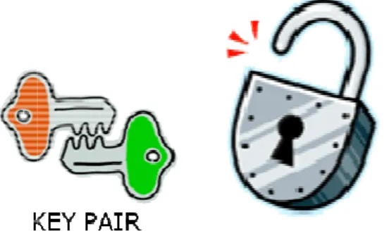 Figure 13. A lock that 