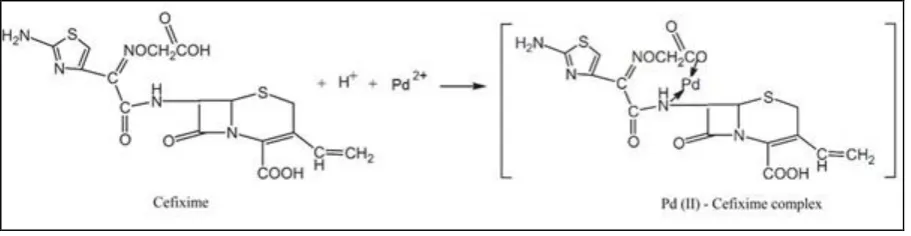 Figure 6: Proposed reaction for Pd(II)-Cefixime complex formation 