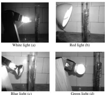 Fig. 1. The experimental setup used to study the effect of the colours of light on the rate of  photosynthesis