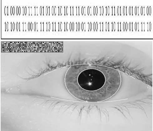 Fig 3.1 Block Diagram of Stages in Iris Recognition 