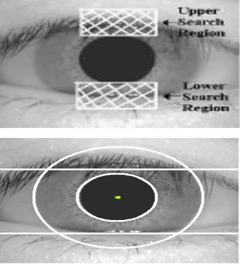 Fig 5.2.1(a) Upper and lower search regions of the iris image.                            (b) Upper and lower eyelids detection