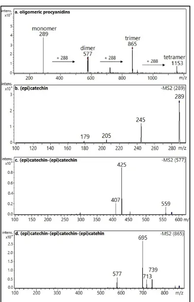 Figure 3: Mass spectra obtained in the negative ion mode for the ethyl acetate fraction (EAF) of the mesocarp of Attalea speciosa Mart