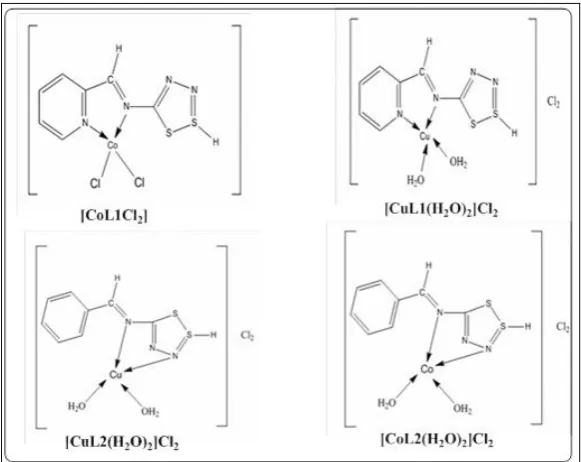 Figure 18: the expected structures of the synthesis complexes 